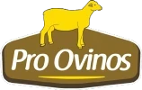 Pro Ovinos